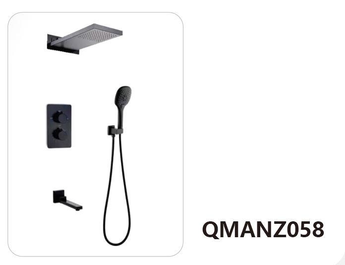 QMANZ058