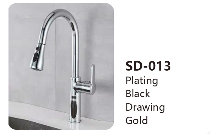 SD-013